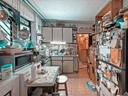Tiong Bahru Estate (D3), Apartment #557561651